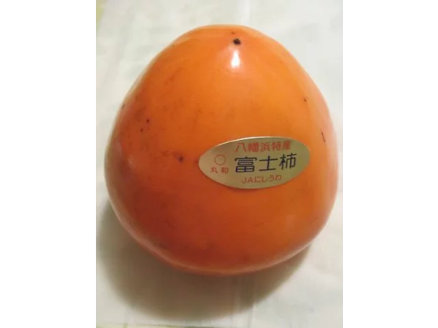 林柿