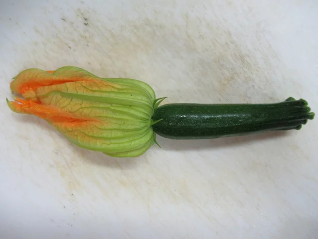 Zucchini