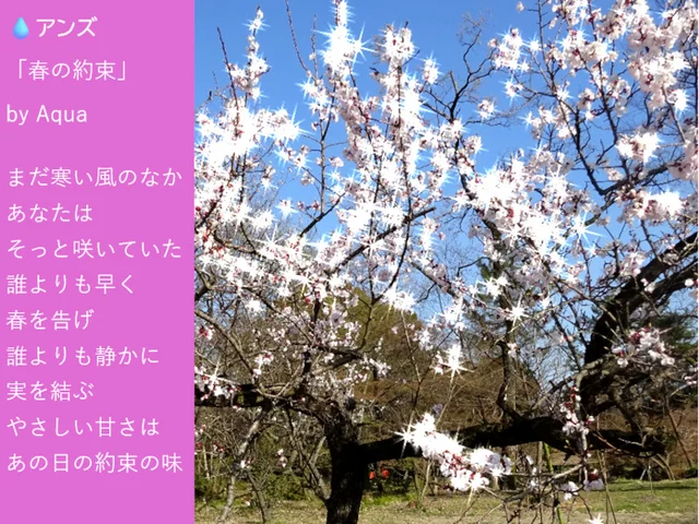 アンズ