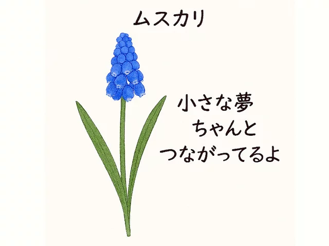 葡萄风信子