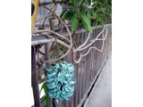 Jade vine