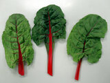 Swiss chard