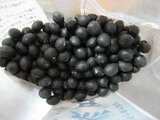 Black soybean