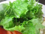 Leaf lettuce