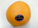 Navel Orange