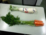 Carrots