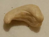 Cashew