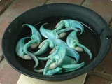 Jade vine