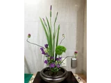 小花葱