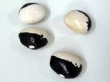 菜豆