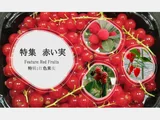 黑莓