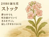 ストック