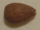 アーモンド