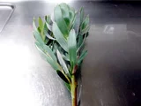木百合
