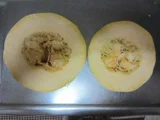 美洲南瓜