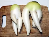 Japanese radish