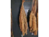 Sticky Millet