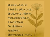 ギンバイカ