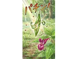 Impatiens textor