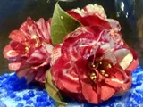 山茶 鹿儿岛