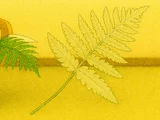 里白