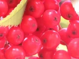 ããã«ãã