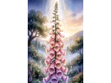 Digitalis