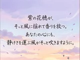 イングリッシュラベンダー