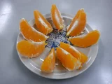 明尼橘柚