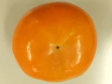 林柿 「富有柿」