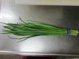 Allium tuberosum