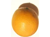 橙