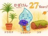 コウフクノキ