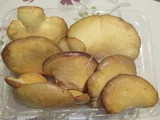 Sarcomyxa serotina