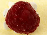 レッドラズベリー