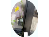 ウズラバタンポポ