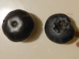 ブルーベリー