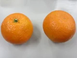 イヨカン