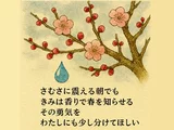 ウメ