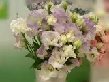 トルコギキョウ