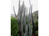 六角柱
