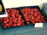 Rambutan