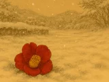 藪椿