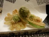 荚果蕨