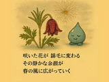 オキナグサ