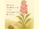 ストック