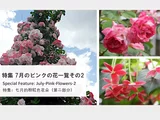 シクンシ