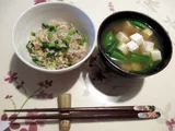 茎瘤芥