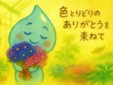 サイネリア