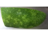 Winter melon